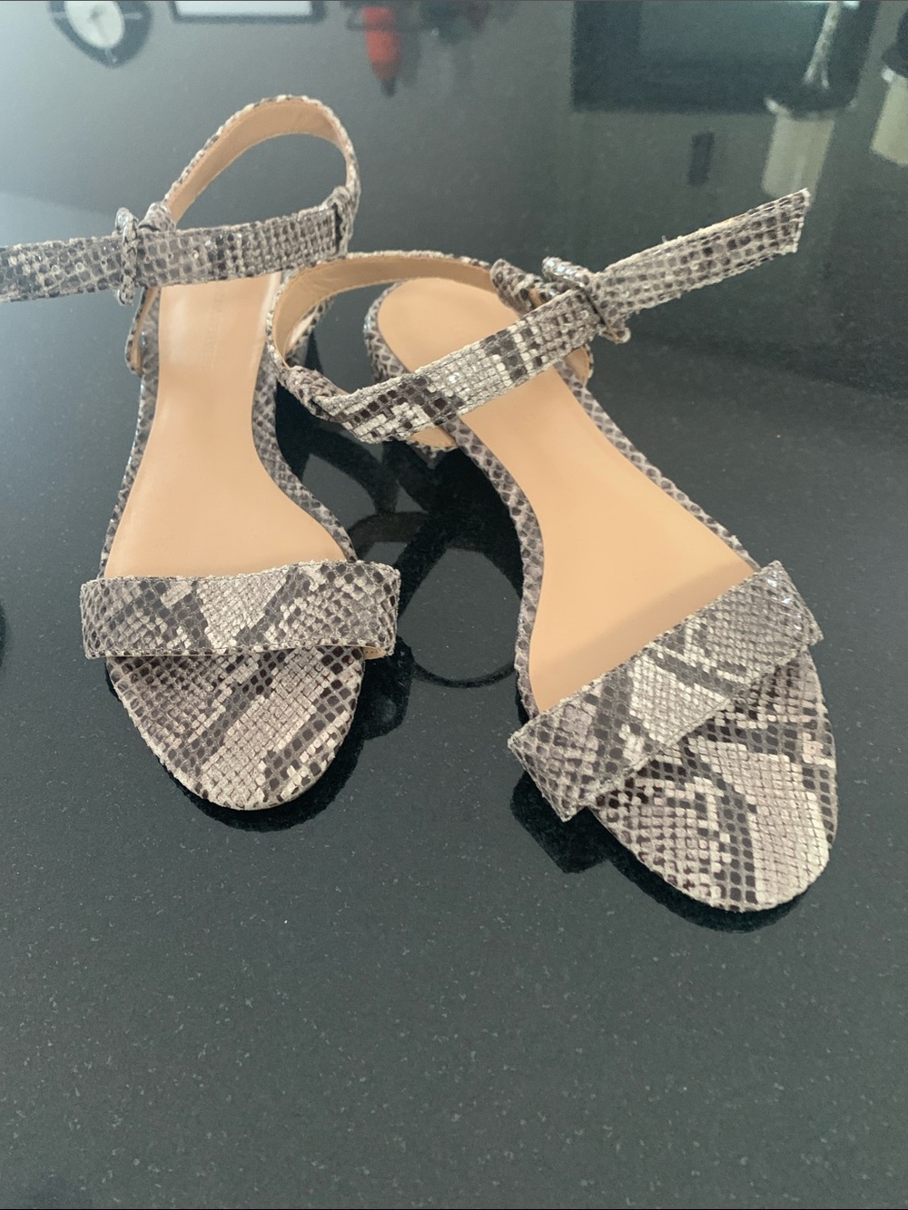 Banana Republic Snake-Print Ankle Strap Sandals - Black & Cream